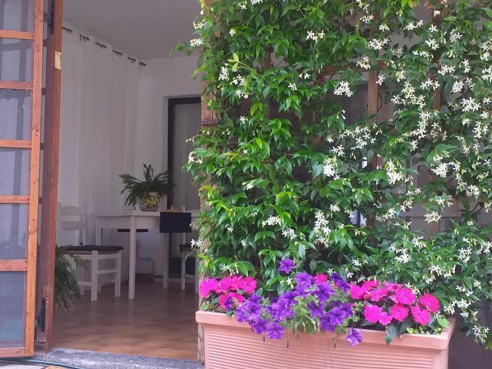 Alla Ghigliotta Viverone Exterior foto